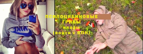 гашишное масло Богданович