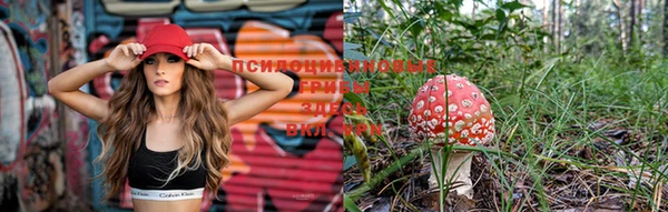 марки lsd Богородск