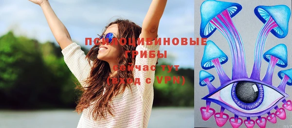 не бодяженный Богородицк