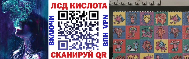 Купить  Суджа  Марки NBOMe 1,8мг 