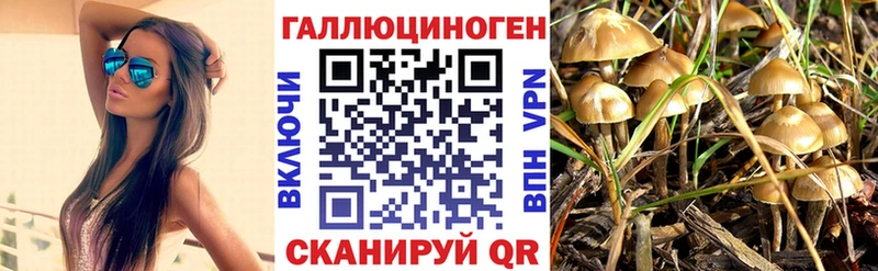 Купить закладки  Суджа  Псилоцибиновые грибы Magic Shrooms 