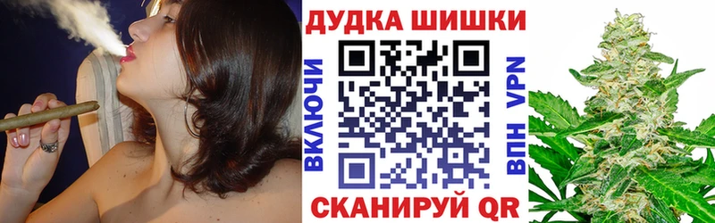 Канабис гибрид  Купить  Суджа 